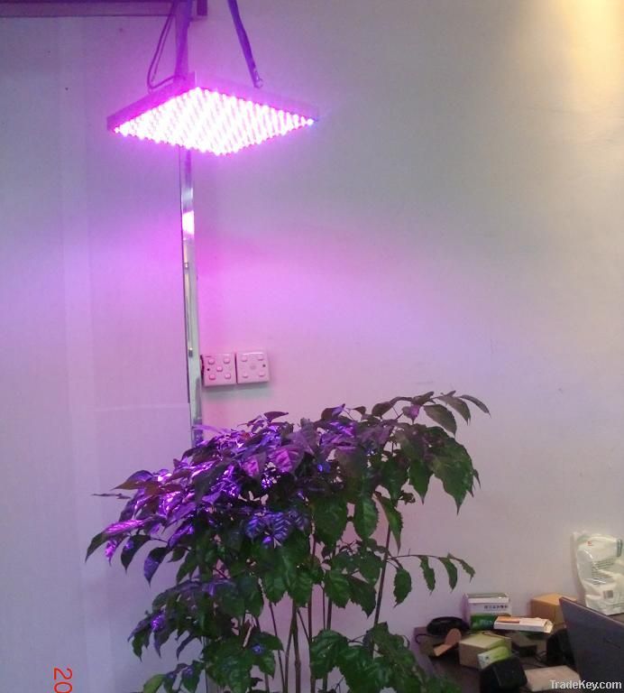 led grow light