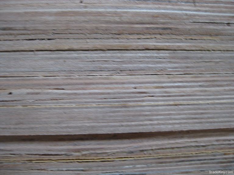 EUCALYPTUS PLYWOOD