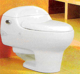 toilet