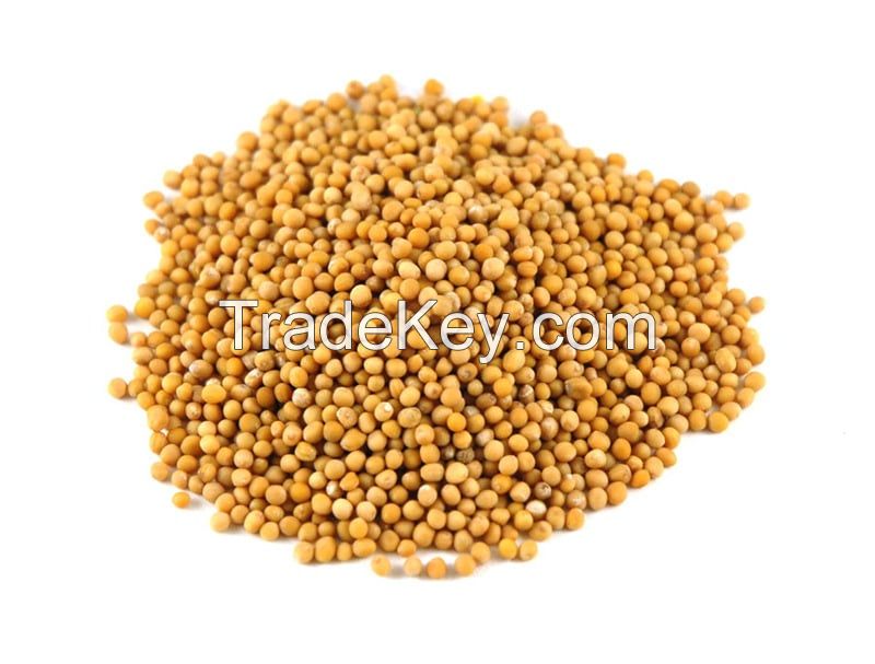 Top Grade Yellow Mustard Seeds