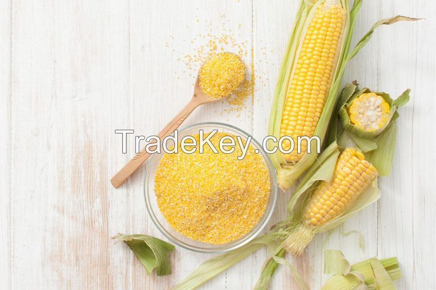 Corn Gluten Feed  60% Bulk Yellow maize Corn Chicken Meal Feed Corn Gluten Feed Feed Grade Additives Powder