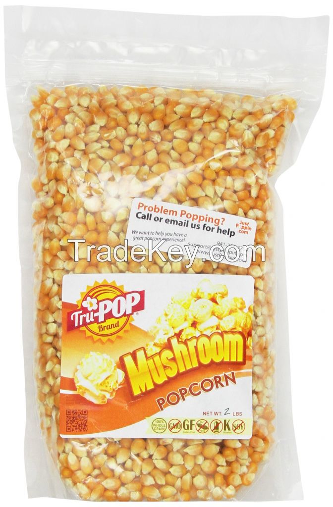 High Quality Yellow, Blue, Red, Rainbow Gourmet Mushroom and Butterfly Popcorn Kernels For Sale