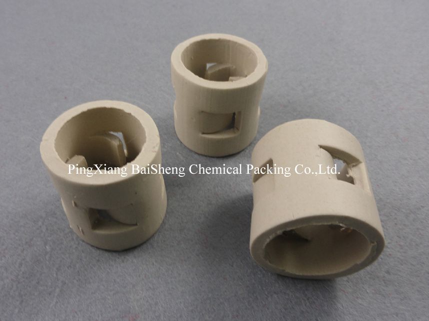 Ceramic pall ring