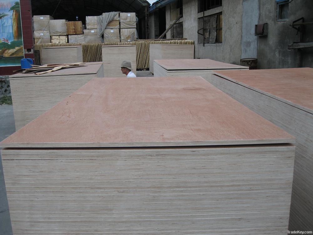 Keruing plywood