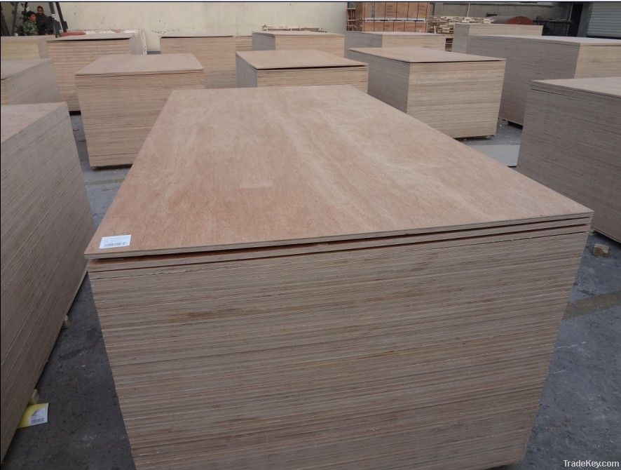 3mm~25mm Bintangor face/back commercial plywood