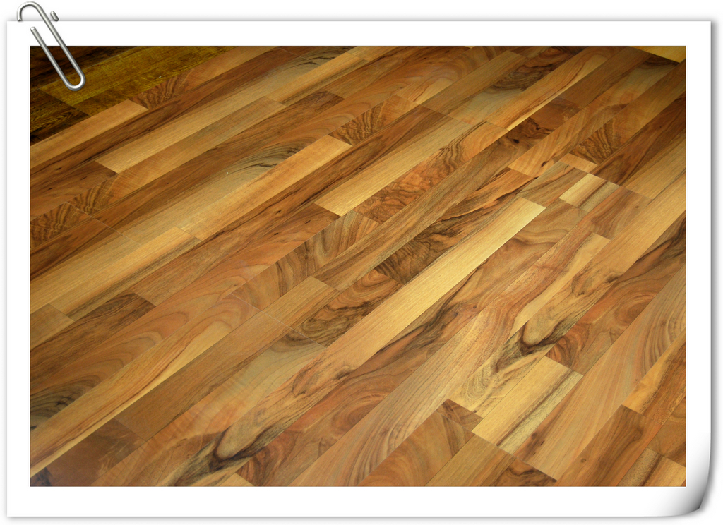 Laminate Flooring * Standard Size - 8mm series * Pisos Laminados