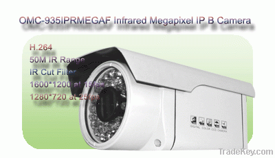 Outdoor IR Array 1080P HD IP network bullet PoE camera