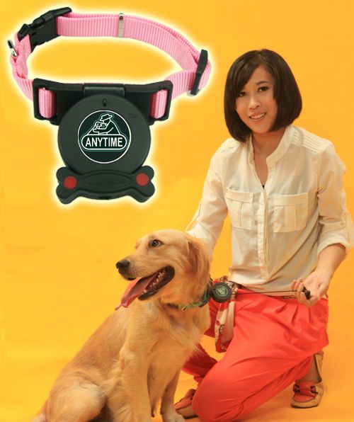 dog collar with built in retractable leash