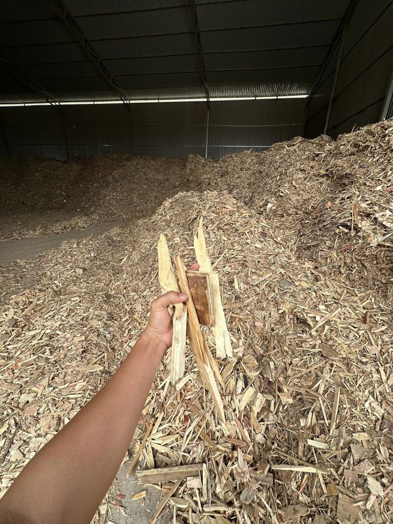 Wood pellets