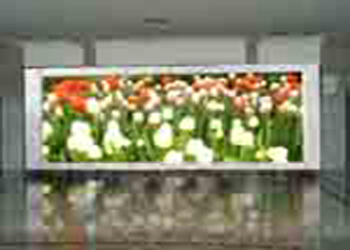 Indoor LED Display