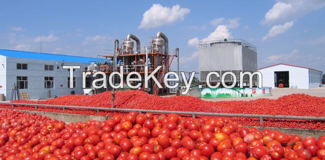 tomato paste production line