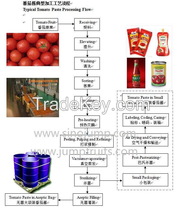 Tomato paste processing line