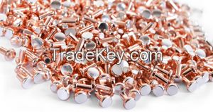 AgCdo/AgNi/AgNso2/AgCuo/AgZno/AgCu silver alloy contact/silver rivet/silver copper