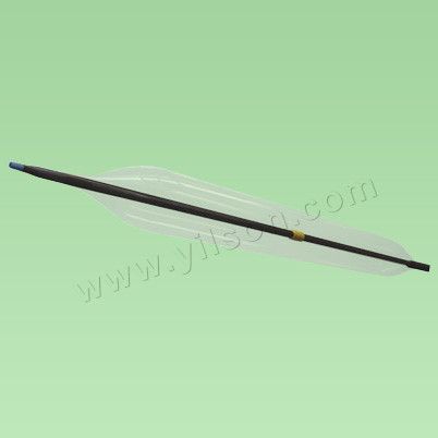 PTCA Balloon Dilatation Catheter