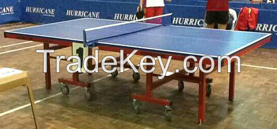 table tennis table