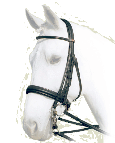 Bridle