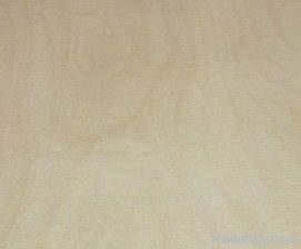 birch plywood