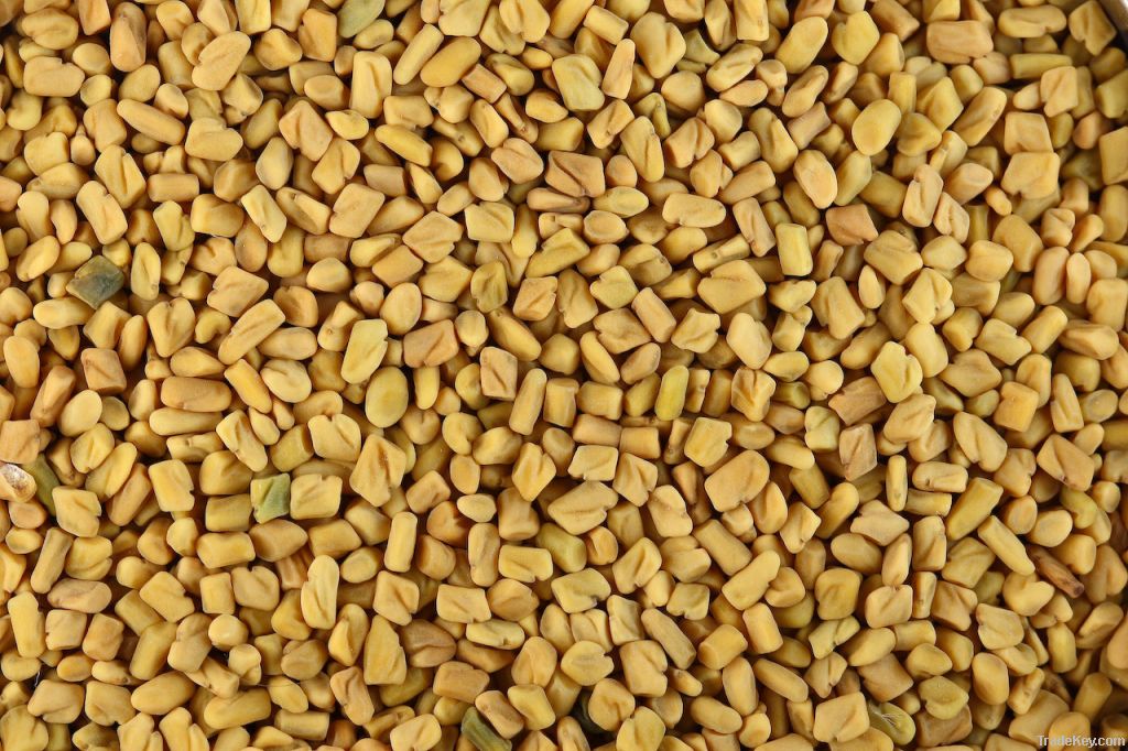 Fenugreek Seeds