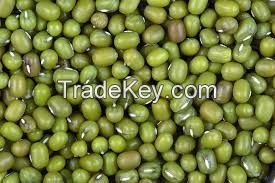 Mung Beans