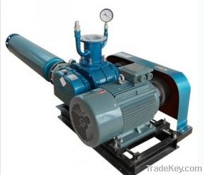 roots rotary vacuum pump