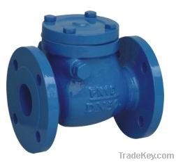 Swing Check Valve