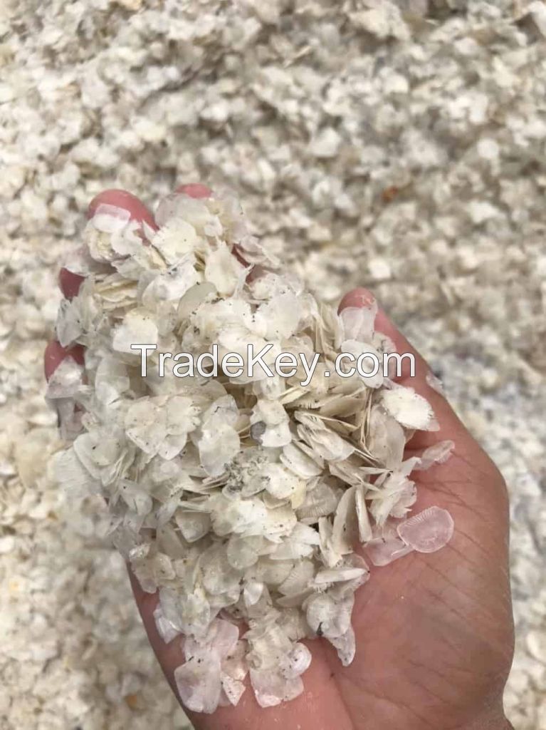 Organic Dried Fish Scale &acirc;�� Processed Raw Material for Skincare & Medicine