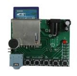 WTV010 SD Card Recording Module