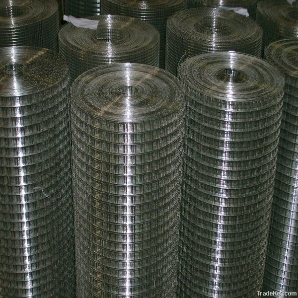 Galvanized Welded Wire Mesh