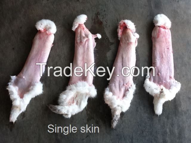 RABBIT SKINS FROZEN