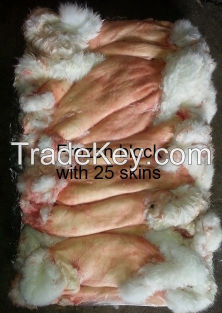 RABBIT SKINS FROZEN