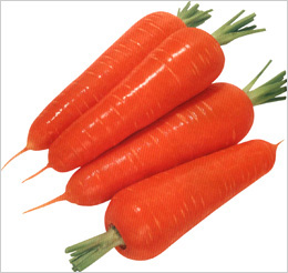 fresh carrot