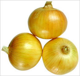 fresh onion