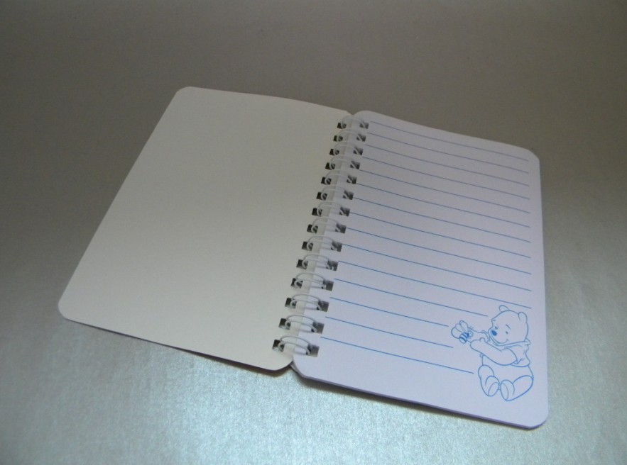 Spiral Notebook