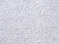 stucco embossed aluminum coil