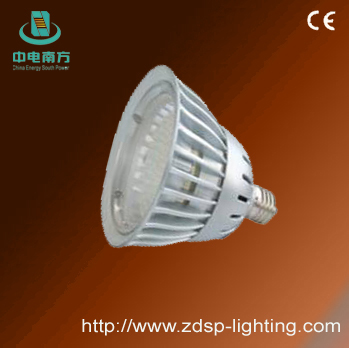 LED down light