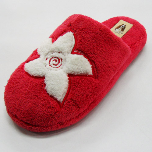 Indoor Slippers