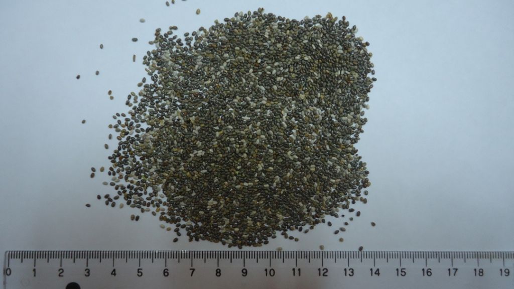 Chia, quinoa, quinoa, amaranth and sesame seeds from South America