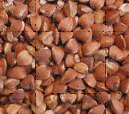 BUCKWHEAT (origin China)