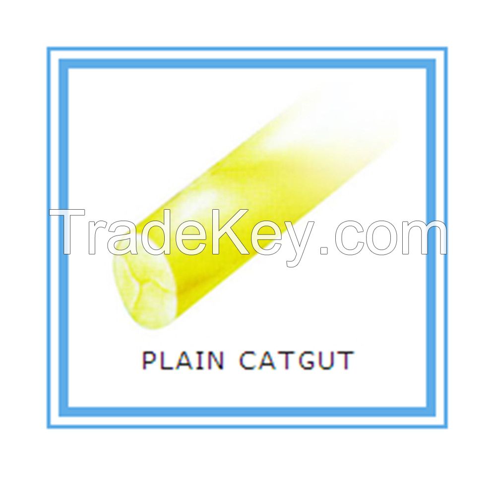 Plain Catgut Suture 2#---6/0 Absorbable Suture