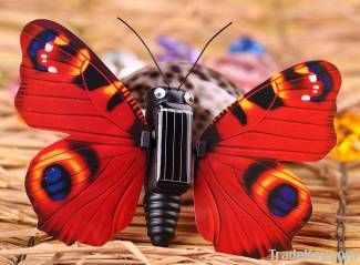 Solar Butterfly