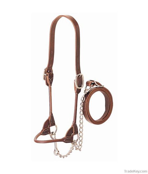 Leather Halter