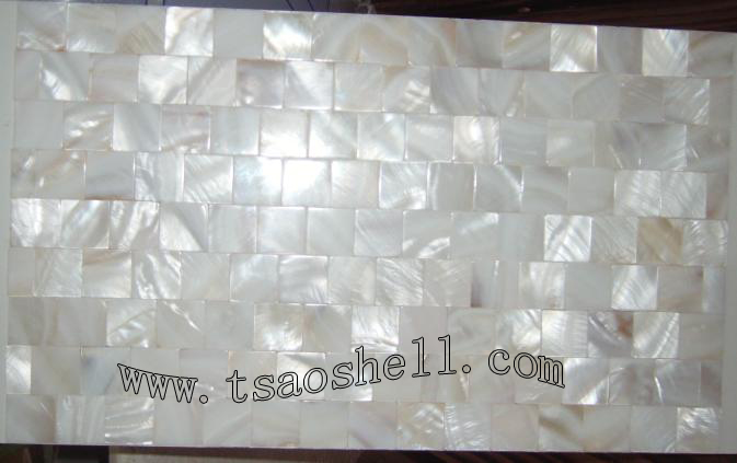 freshwater shell mosaic