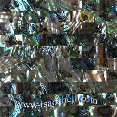 green shell mosaic