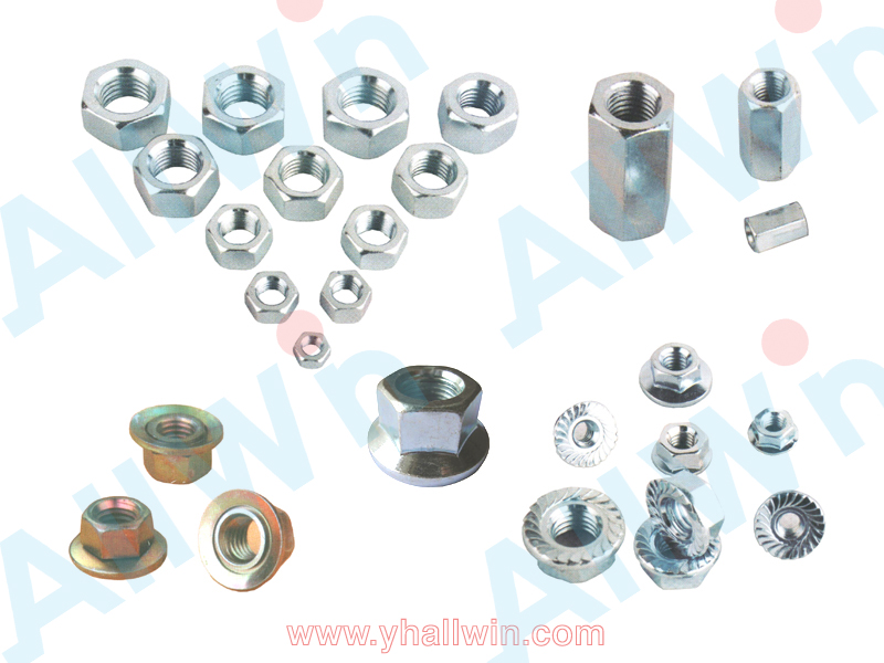 Hex Nuts