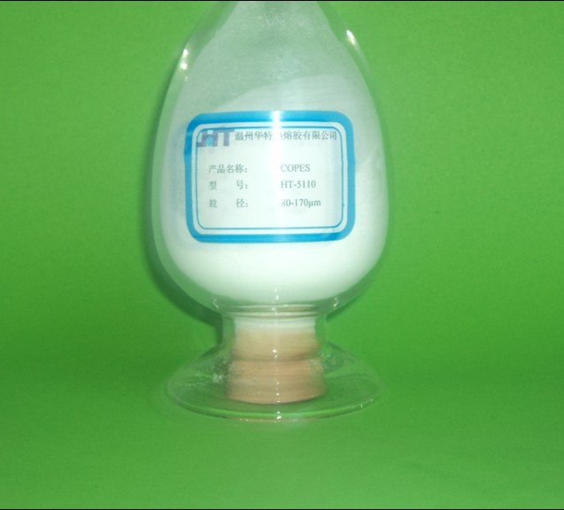 copolyester powder for interlining, transfer printing, hot melt adheisve