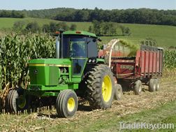 Corn Silage