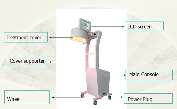 AES-GH8 (Hair growth/anti hair loss system)