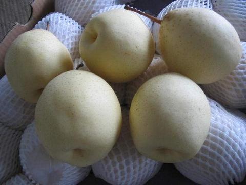 Fresh Pears