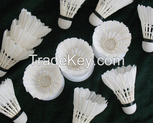 badminton factory supply feather shuttlecocks of DAYI-gongyu grade badminton shuttlecocks