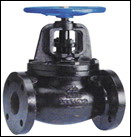 Iron Global Valve